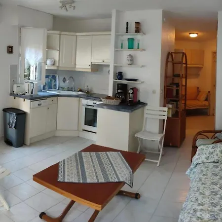 Bright With Terrace In Apartment Frejus